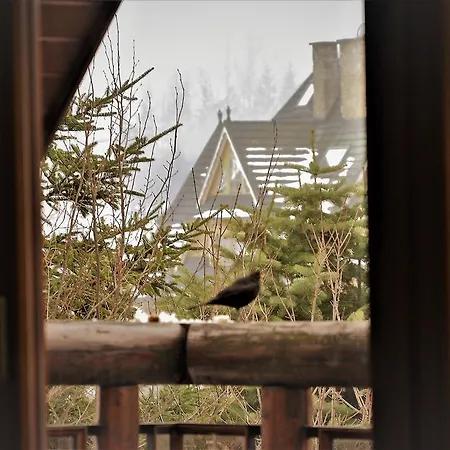 Twoj Giewont Zakopane Kościelisko