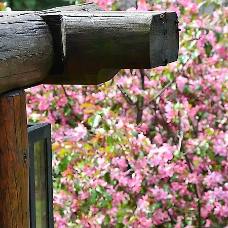 Twoj Giewont Zakopane