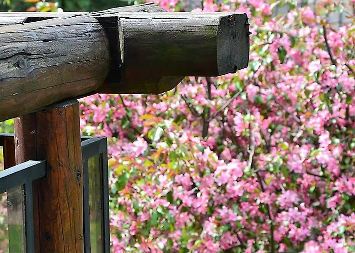 Twoj Giewont Zakopane